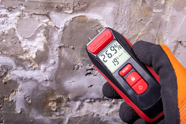 Mold Removal and Inspection in Middletown, VA