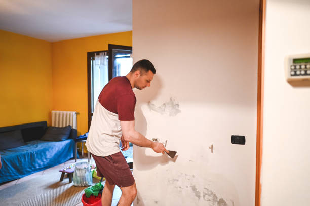 Middletown, VA Mold Removal Company